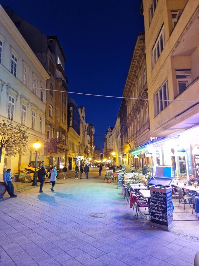 New 1bdr Modern Bauhaus Flat Budapest