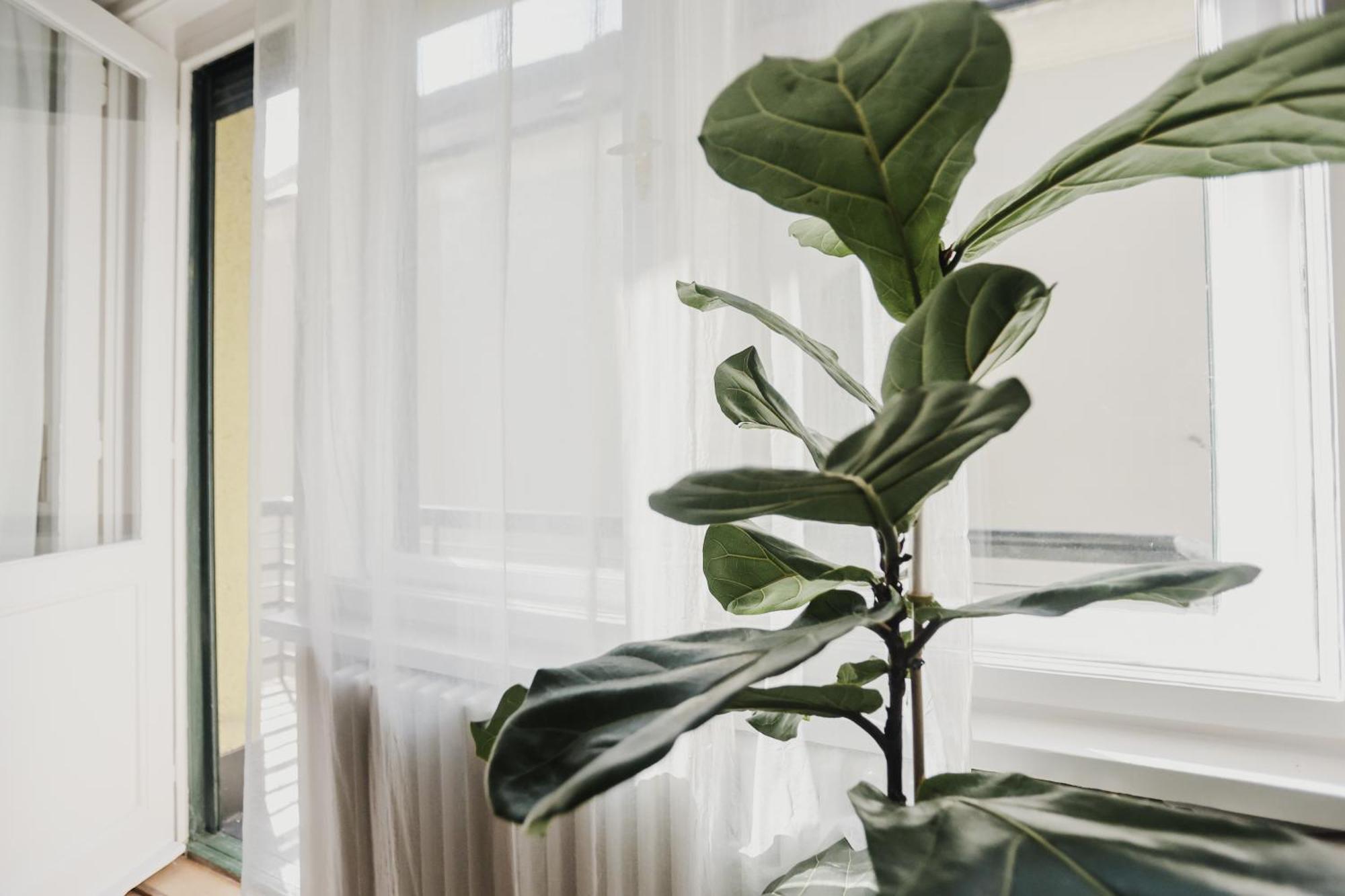 New 1bdr Modern Bauhaus Flat Apartment