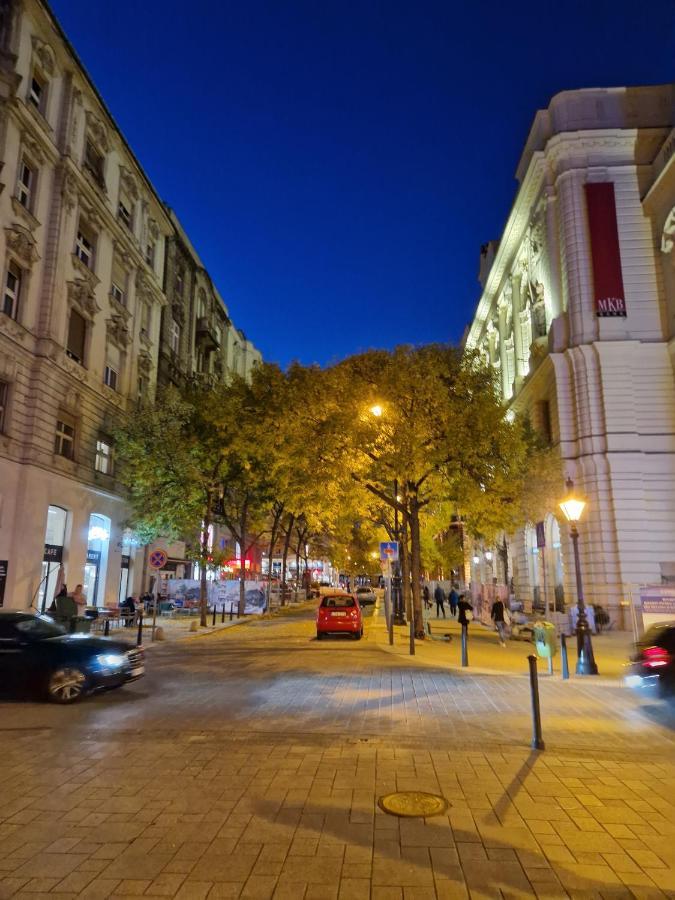 Appartamento New 1bdr Modern Bauhaus Flat Budapest